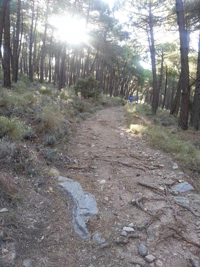 Green Peaks B&B Country House Alojamiento Rural Cortijo de Balsain 外观 照片