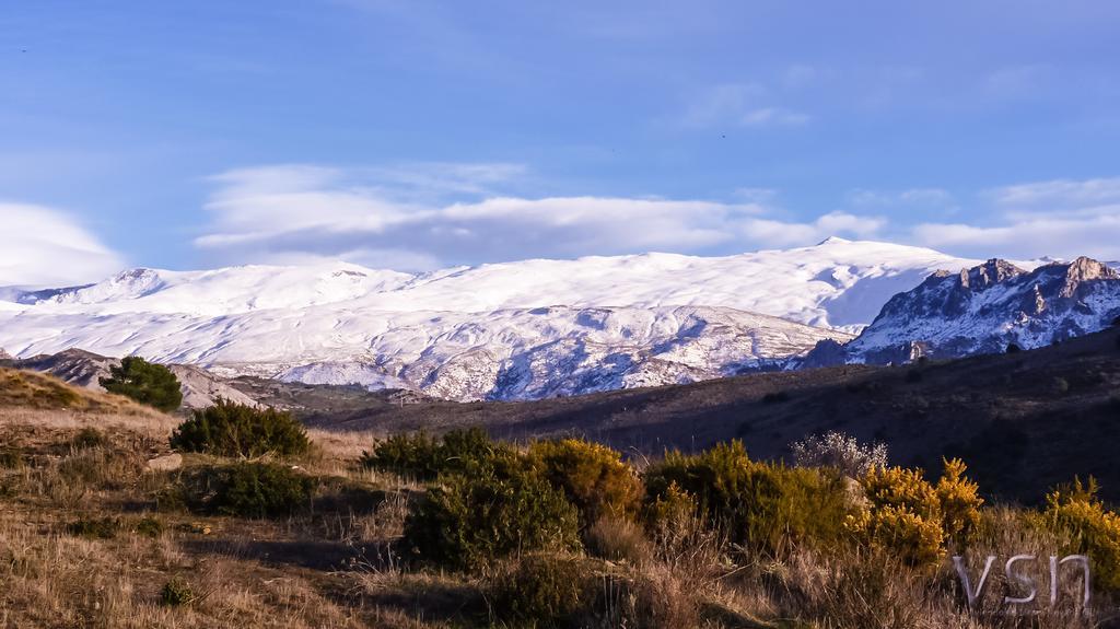 Green Peaks B&B Country House Alojamiento Rural Cortijo de Balsain 外观 照片